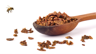 Evaluation of Turkish propolis for its chemical composition
