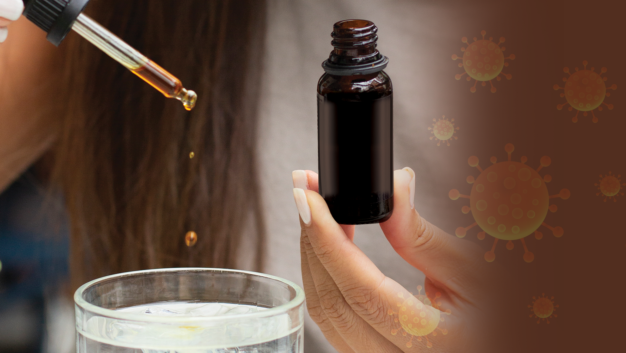 Targeting CoV-2 spike RBD and ACE-2 interaction with flavonoids of Anatolian propolis by in silico and in vitro studies in terms of possible COVID-19 therapeutics