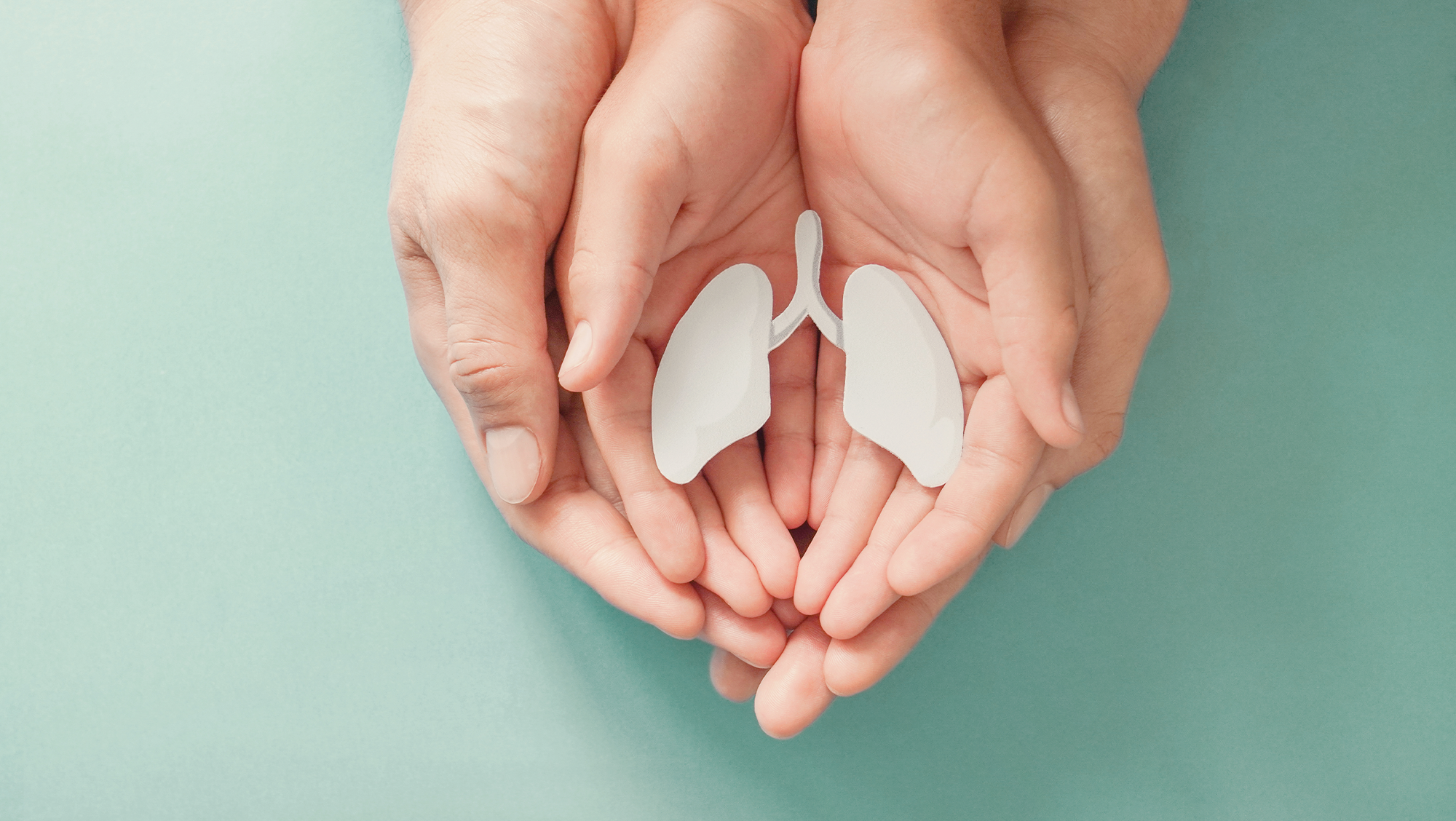 Nano-vesicular formulation of propolis and cytotoxic effects in a 3D spheroid model of lung cancer