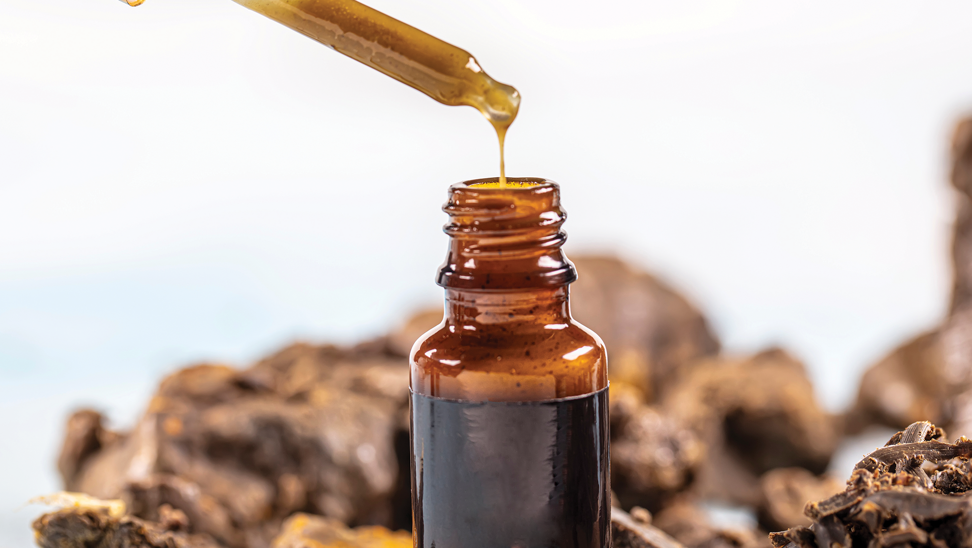 3D Propolis-Sodium Alginate Scaffolds: Influence on Structural Parameters, Release Mechanisms, Cell Cytotoxicity and Antibacterial Activity