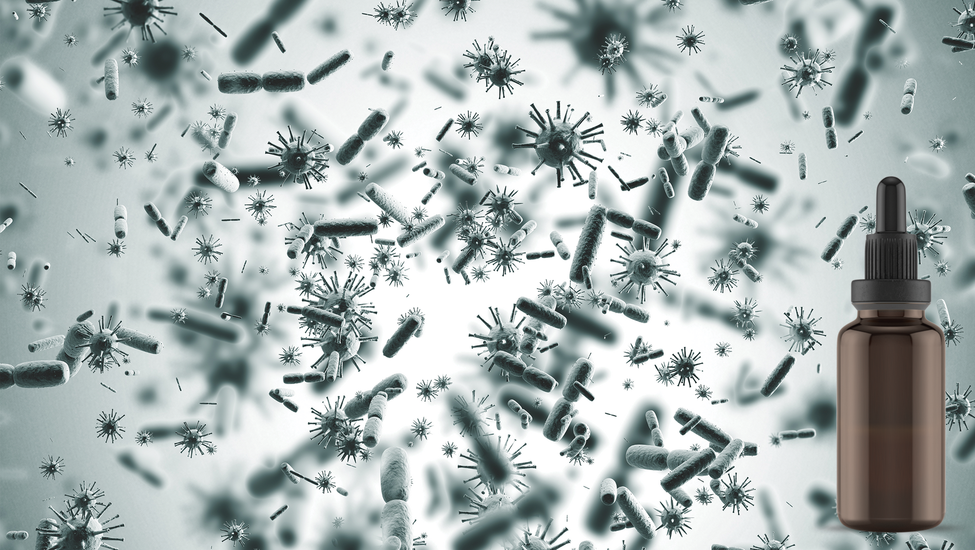 Antibacterial Effect of Anatolian Ethanolic Propolis Extracts on Clinical Strains of Helicobacter pylori