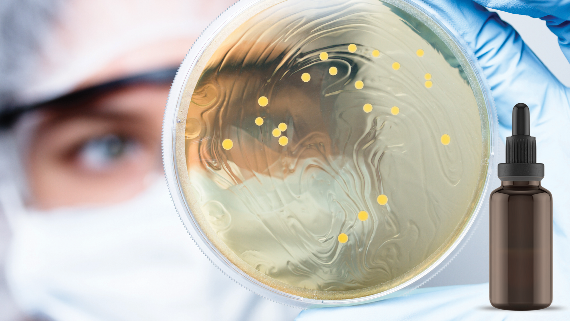 Antimicrobial Effect of Commercial Propolis Extract