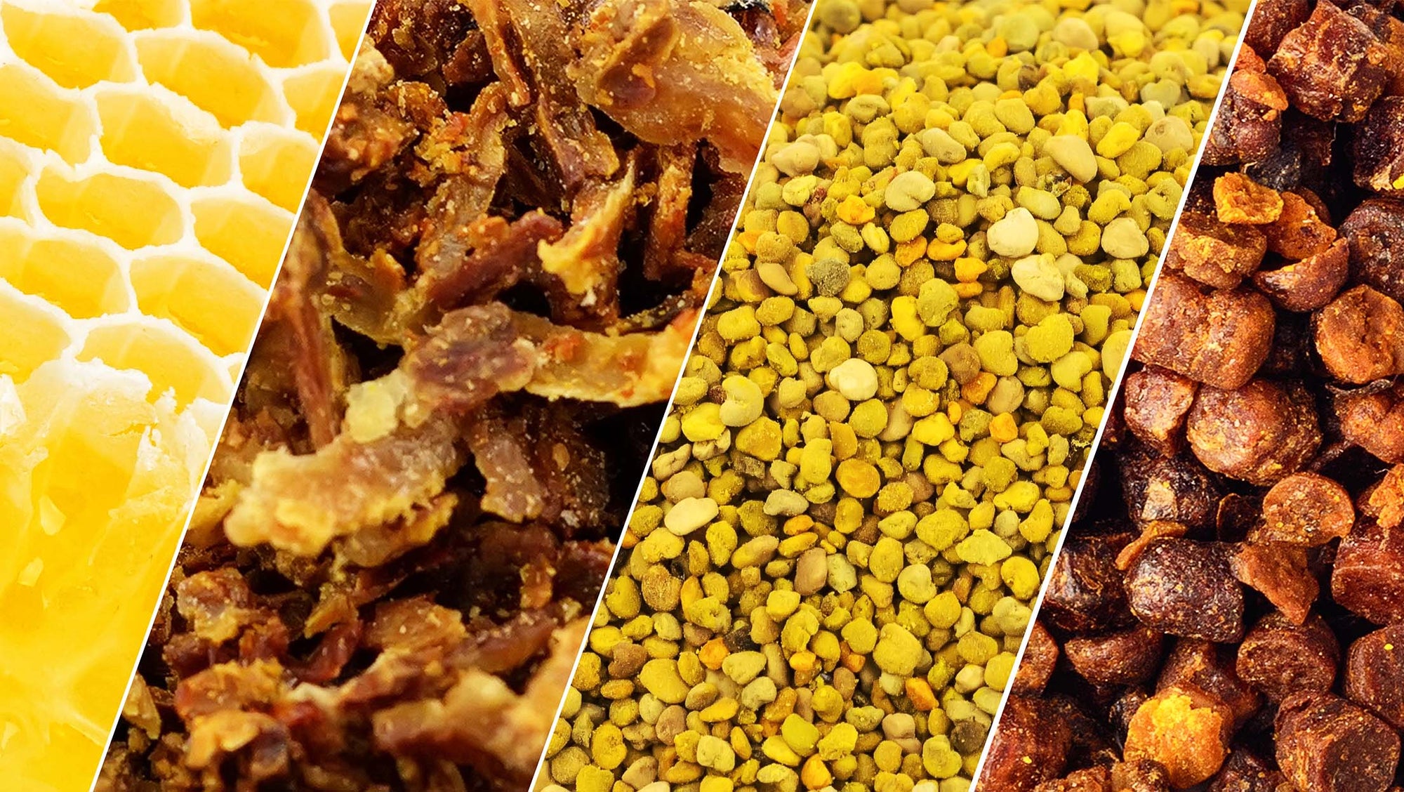 How to Increase your Immunity with Bee Products