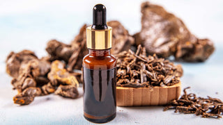 Propolis and Scientific Research on Prostate Cancer