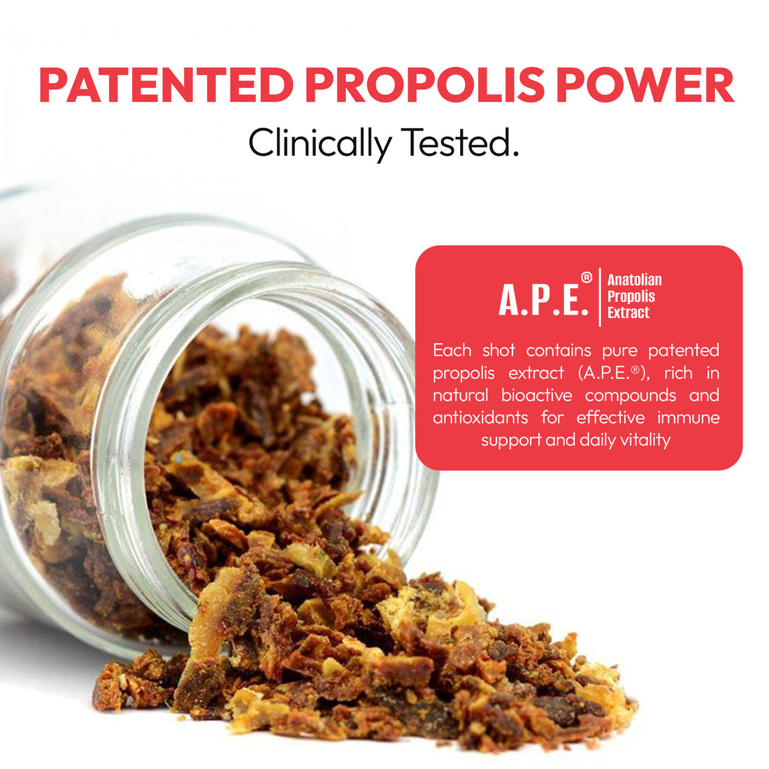 Energy-X Royal Jelly Red Ginseng Propolis Raw Honey Shots for Adult x12