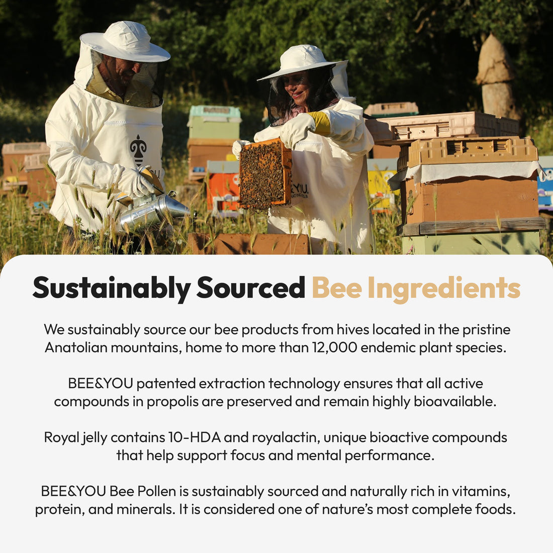 Royal Jelly Propolis Bee Pollen Tablets