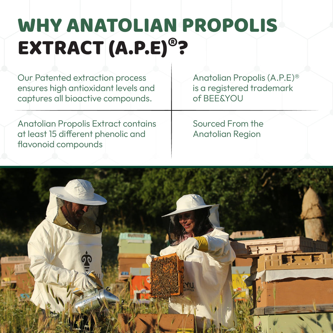Propolis Raw Honey Throat Spray